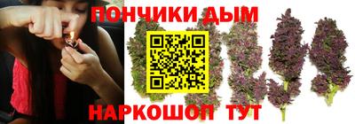 амф Кандалакша