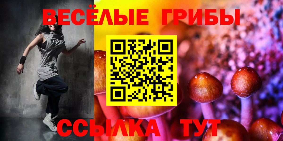 Псилоцибиновые грибы MAGIC MUSHROOMS  Галлюциногенные грибы Cubensis  Вход с VPN  закладки  Новотроицк 
